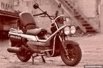 Honda Big Ruckus PS250